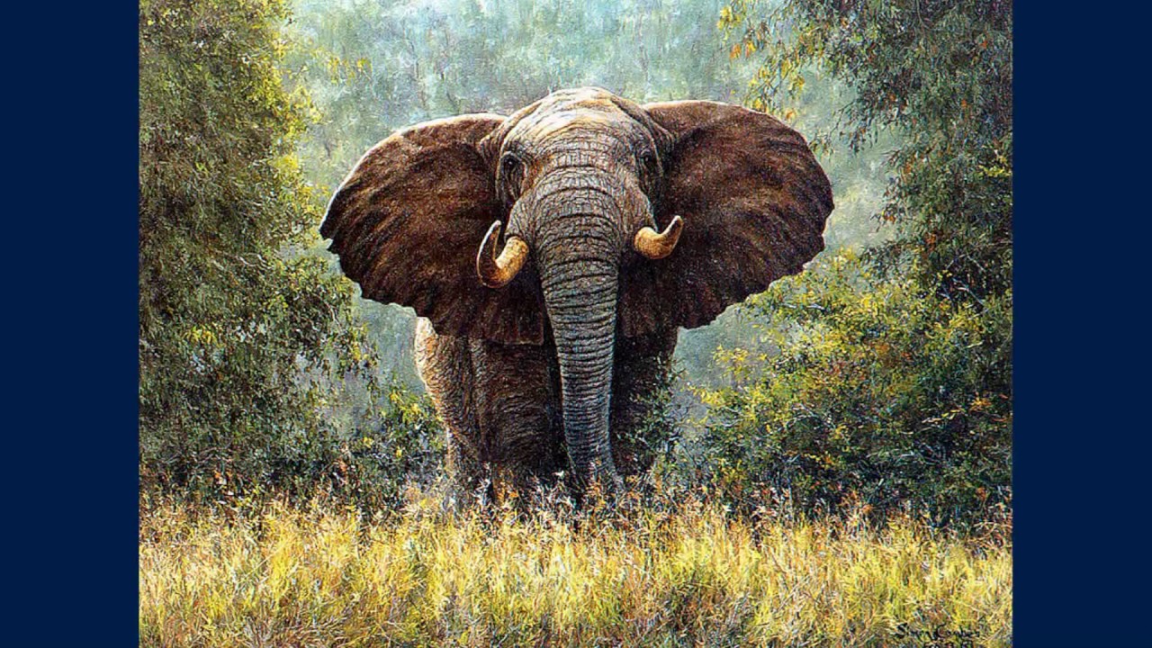Simon Combes