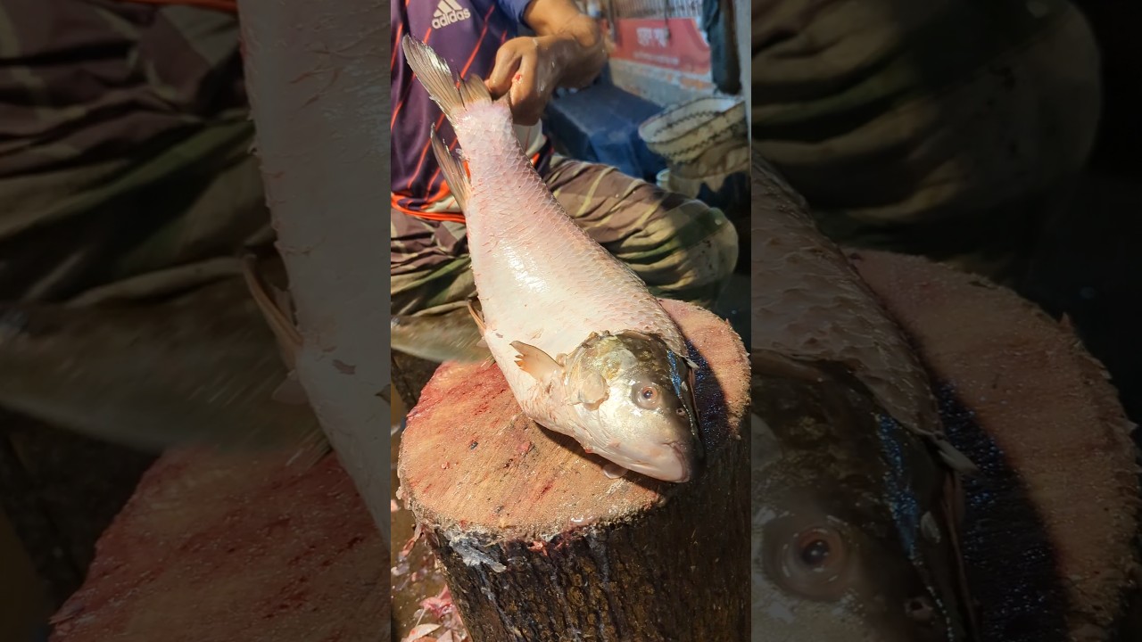 Amazing Big Mrigal Fish Cutting Skills Live In BD Fish#13Market