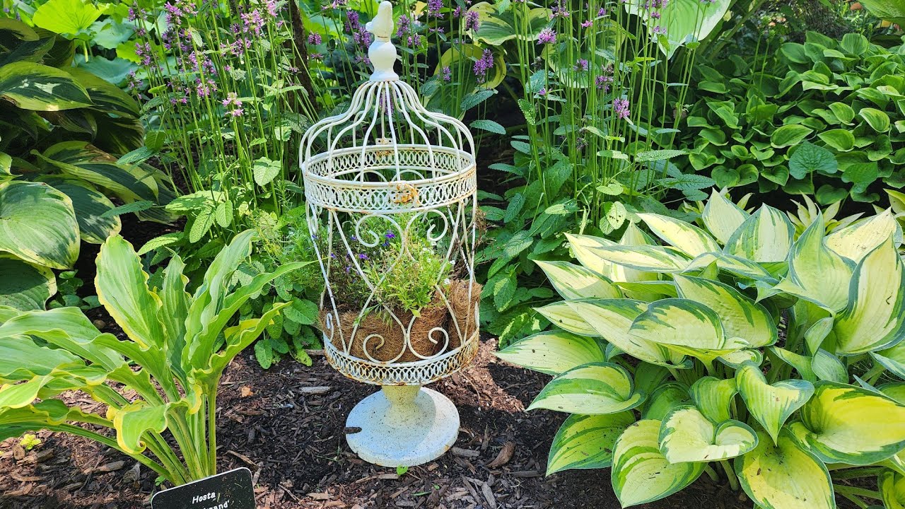 1000+ Different HOSTAS Garden Tour! Stunning Shade Home Garden! Secret Garden Hostas