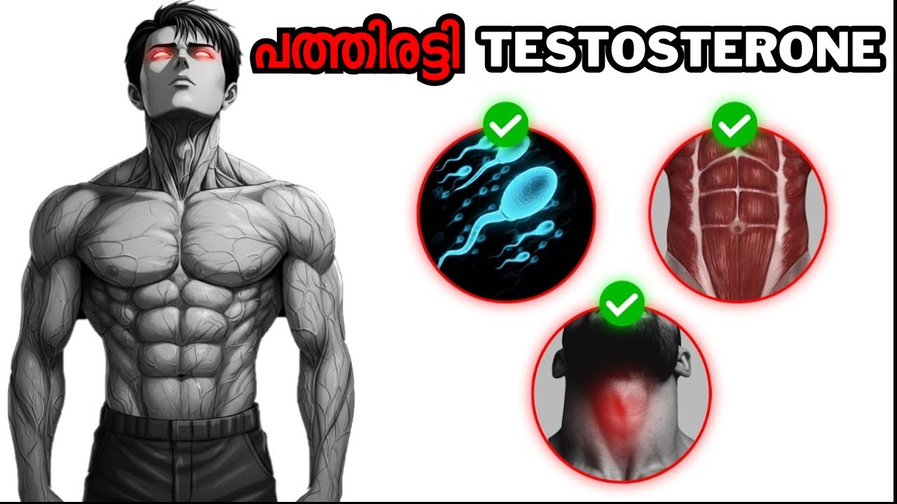 How to INCREASE Testosterone MASSIVELY (Ultimate Guide)