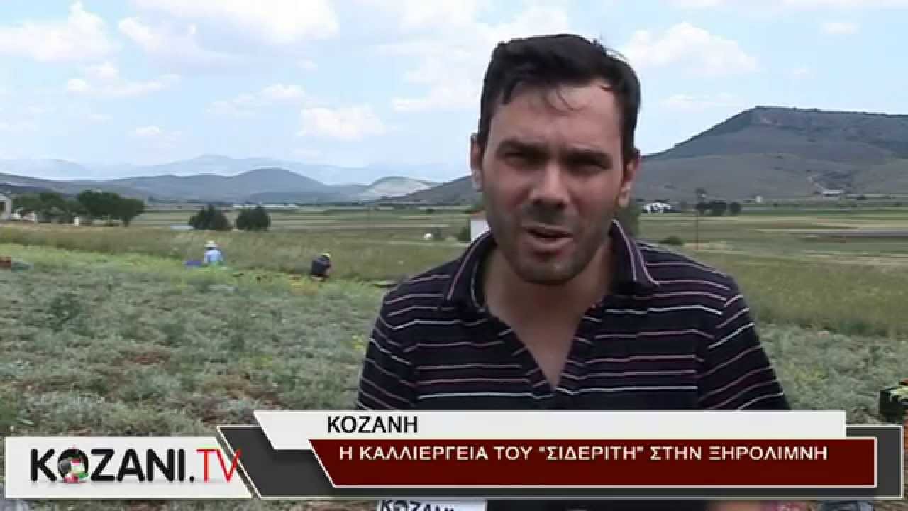 Η καλλιέργεια του 
