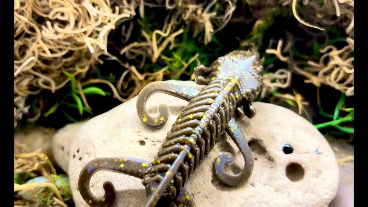 🦎The Diesel Dawg soft plastic lure@dieselbaits 