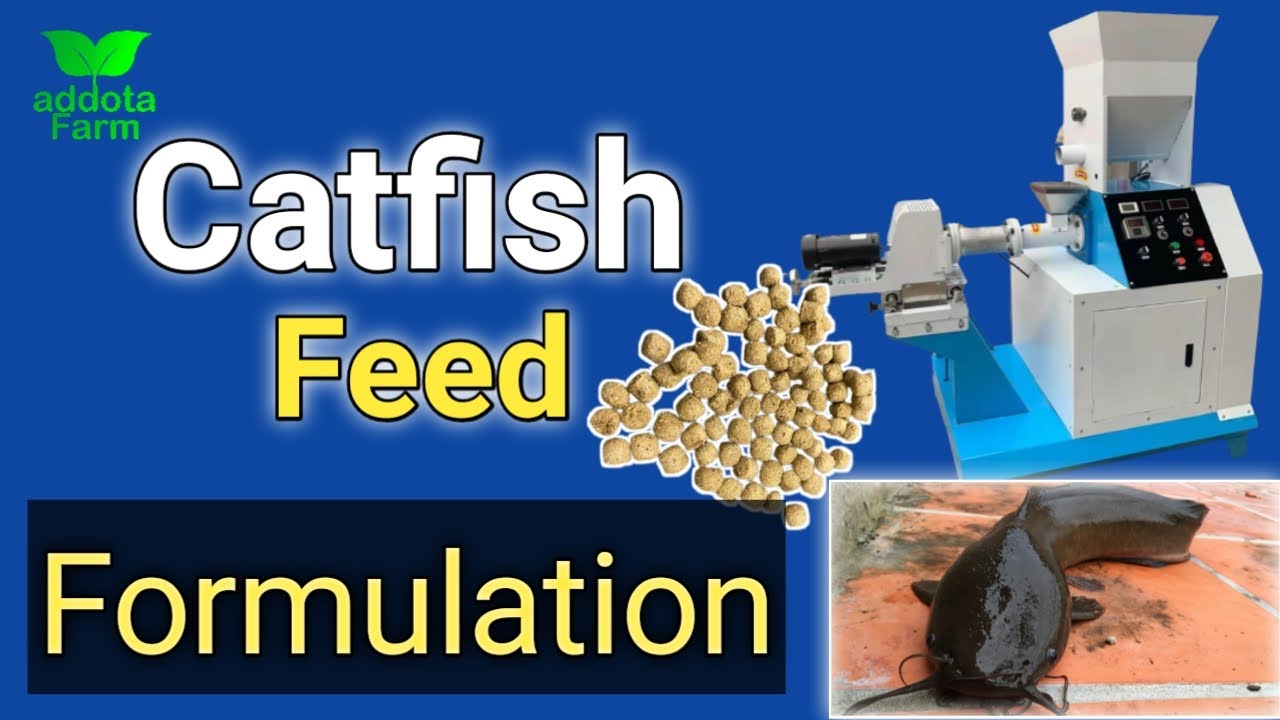Catfish feed  Formulation the easiest way in nigeria