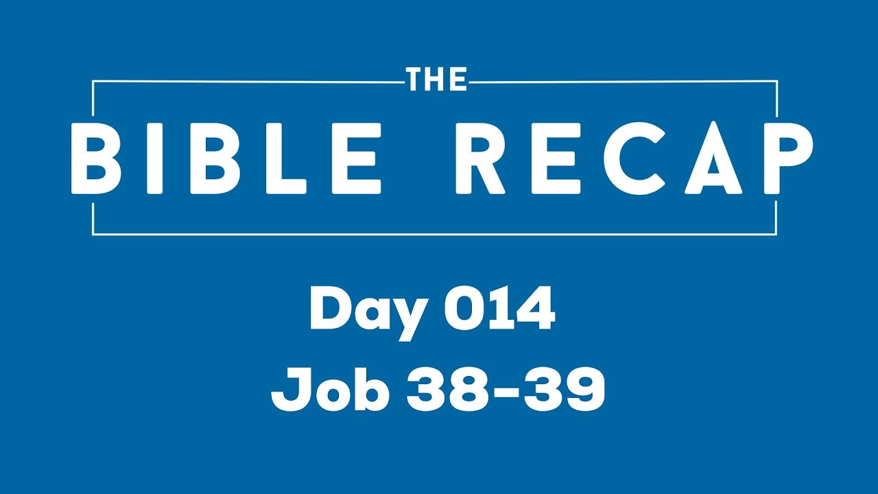 Day 014 (Job 38-39)