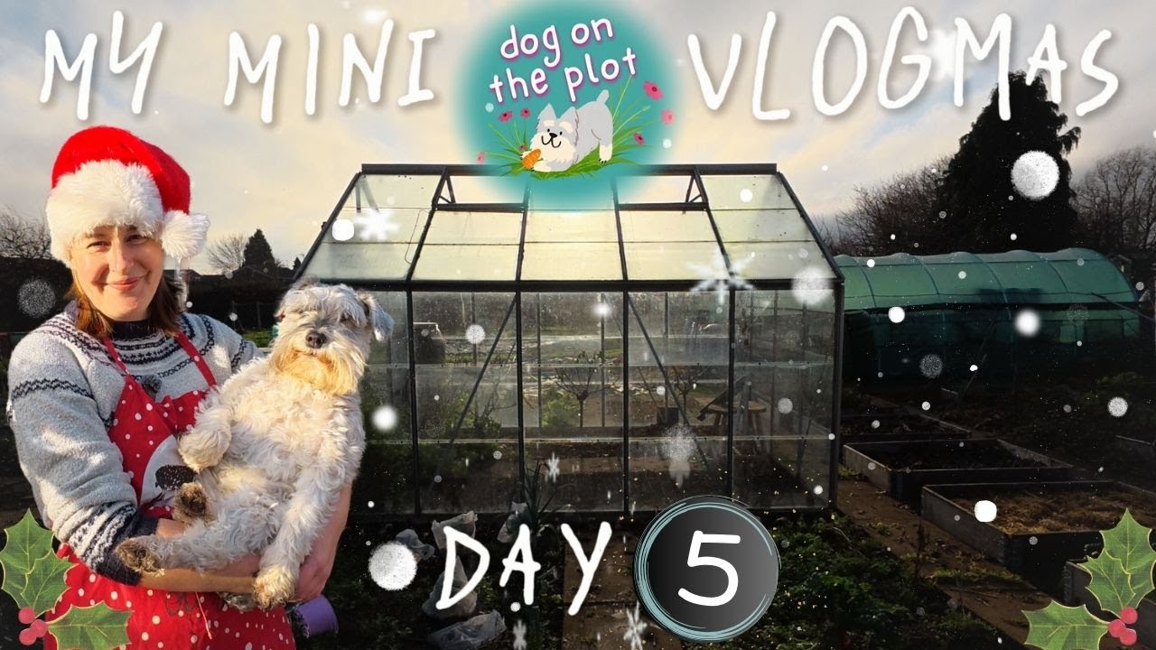 DAY 5: Boxing Day - Forget the onions, pass the leek - it’s all about the bubble and squeak!