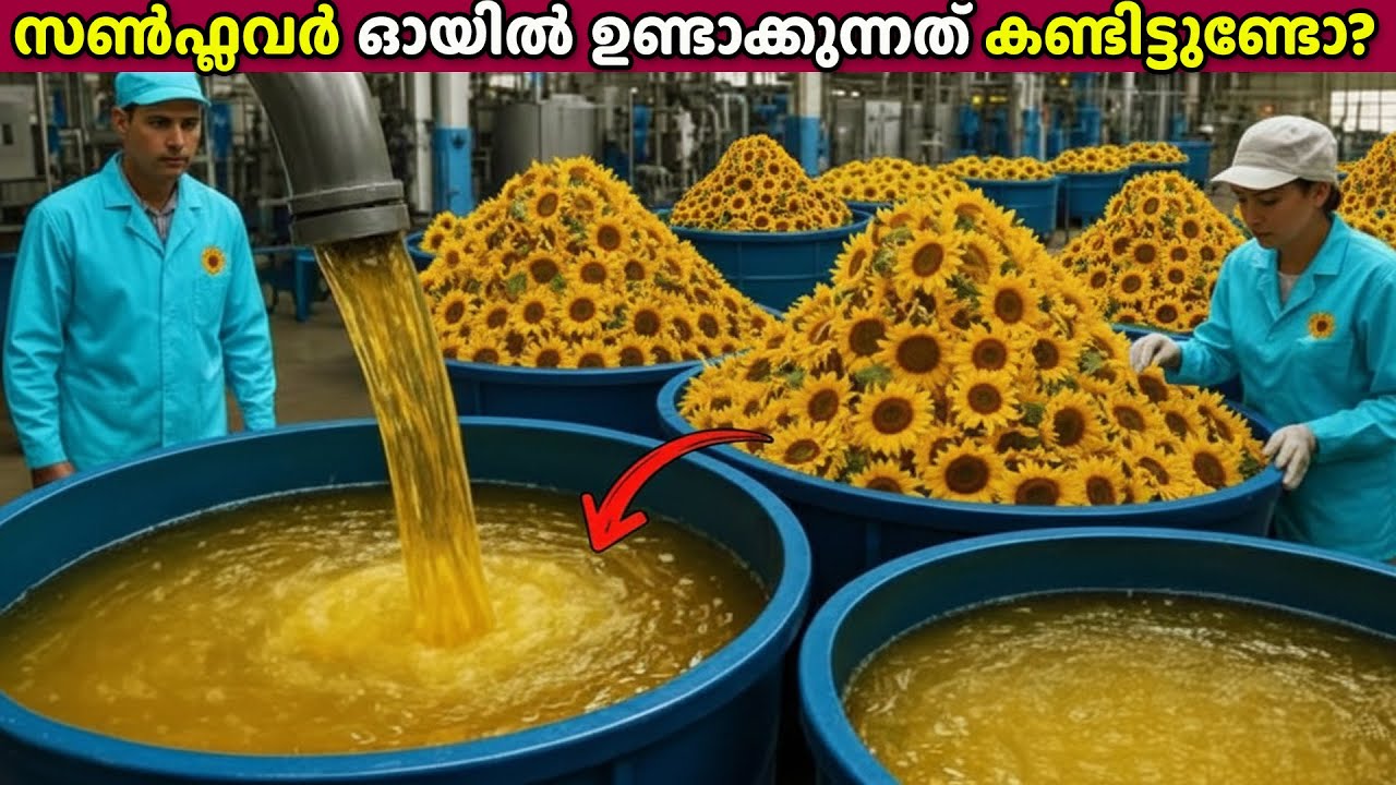 സൺഫ്ലവർ ഓയിൽ ഫാക്ടറിയിലെ അത്ഭുത കാഴ്ചകൾ😨| THIS IS HOW SUNFLOWER OIL IS MADE | STORIFLIX