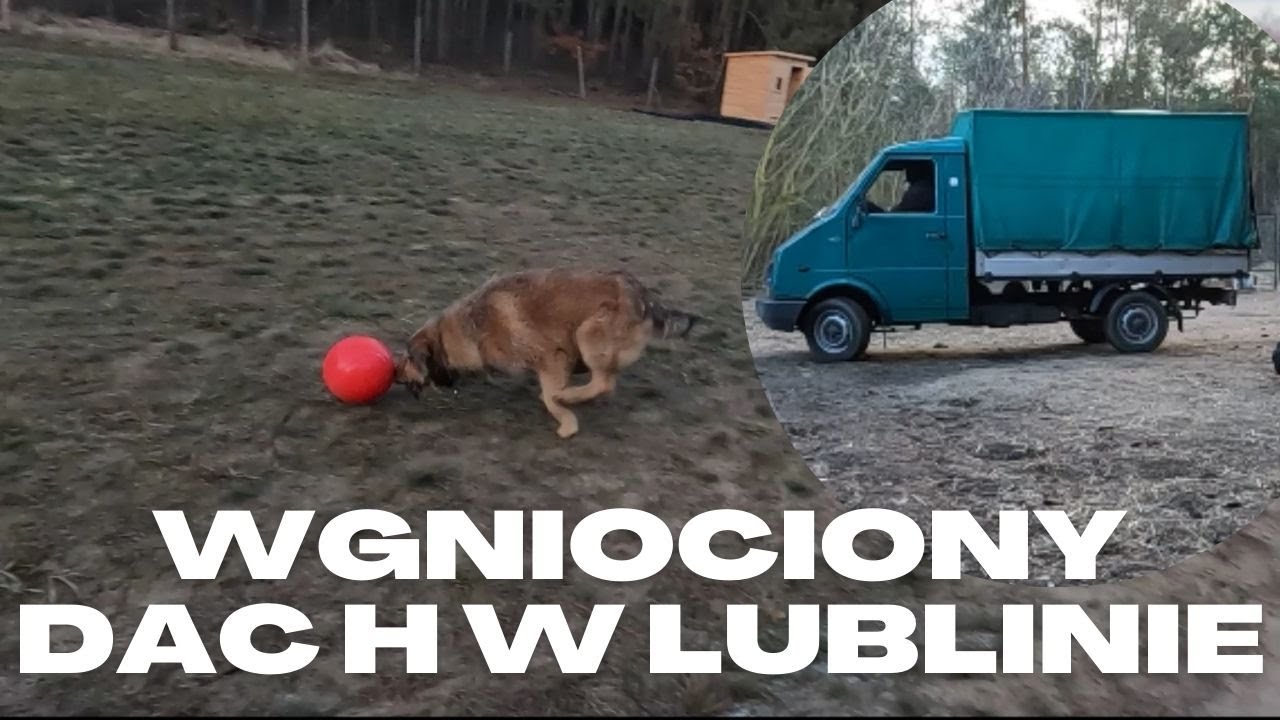 Lublinem po słomę i nowa piłka
