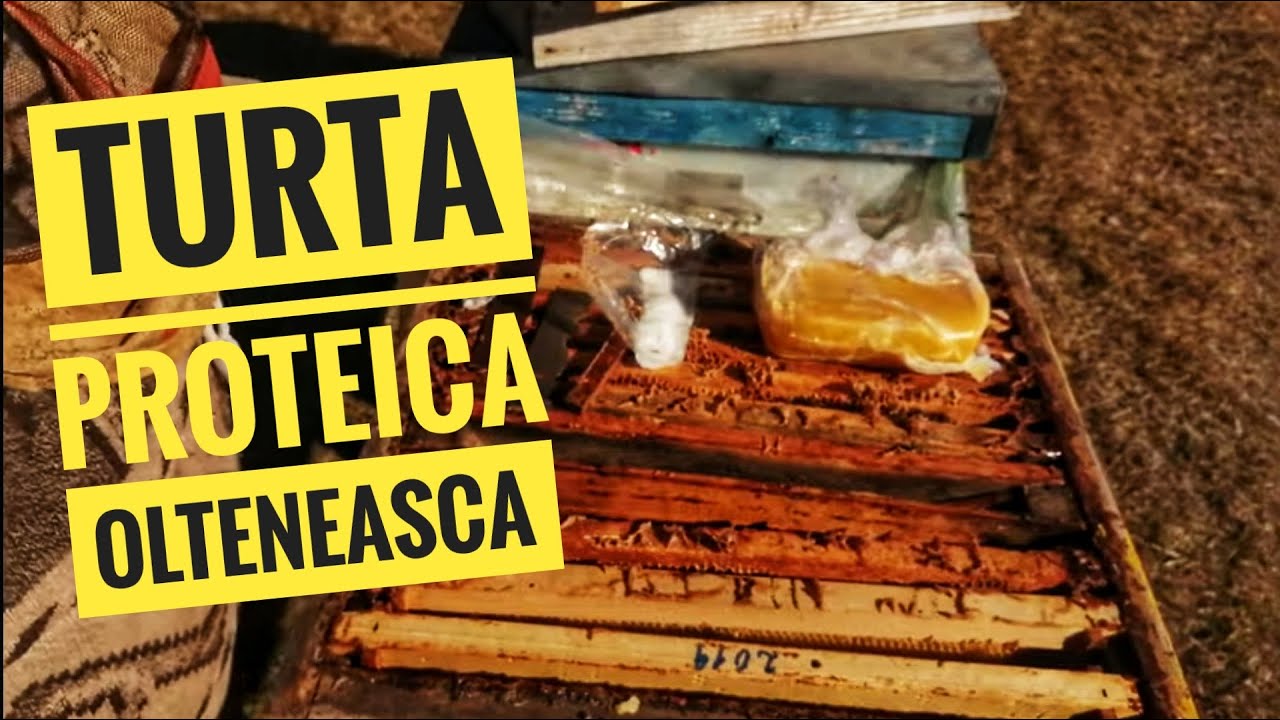 STUPINA  SI TURTA PROTEICA.