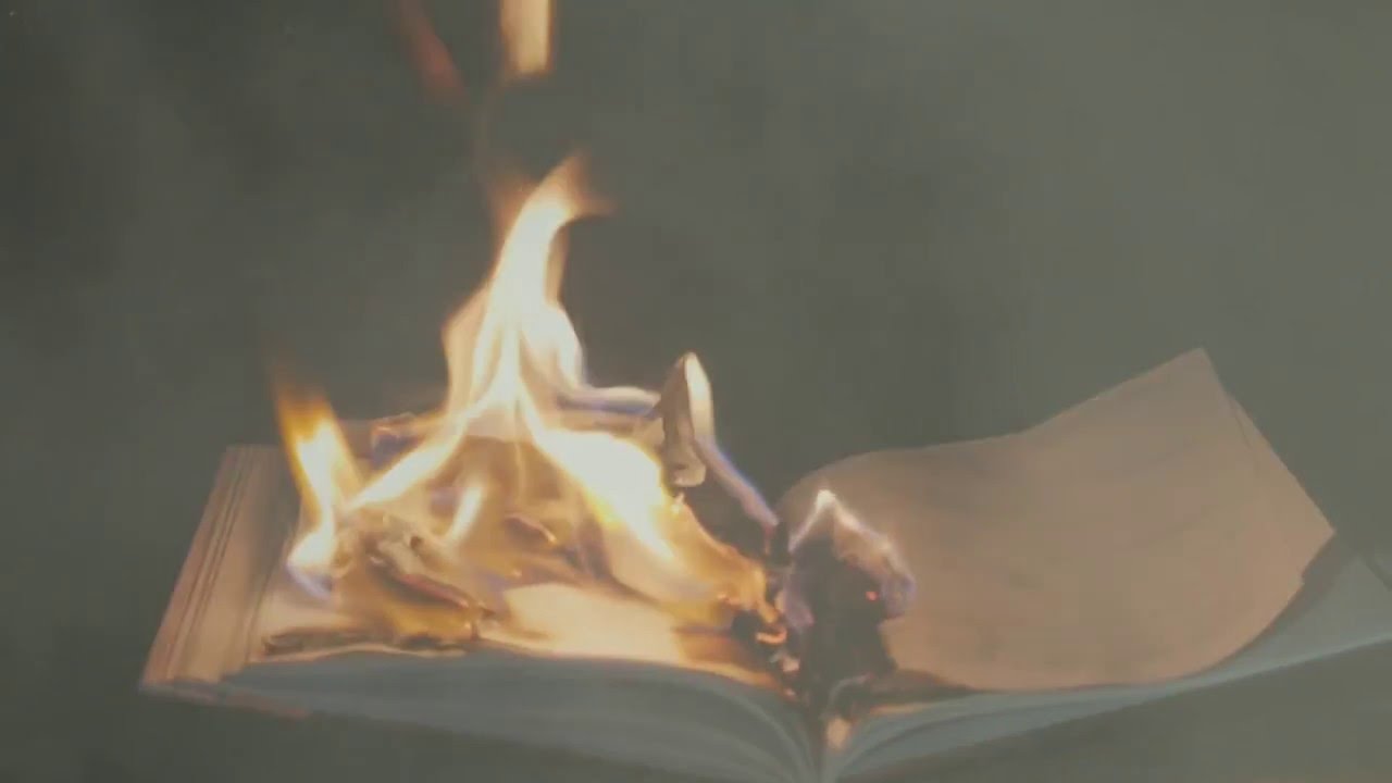 Plague Father - Author of Pain (Official Lyric Video)