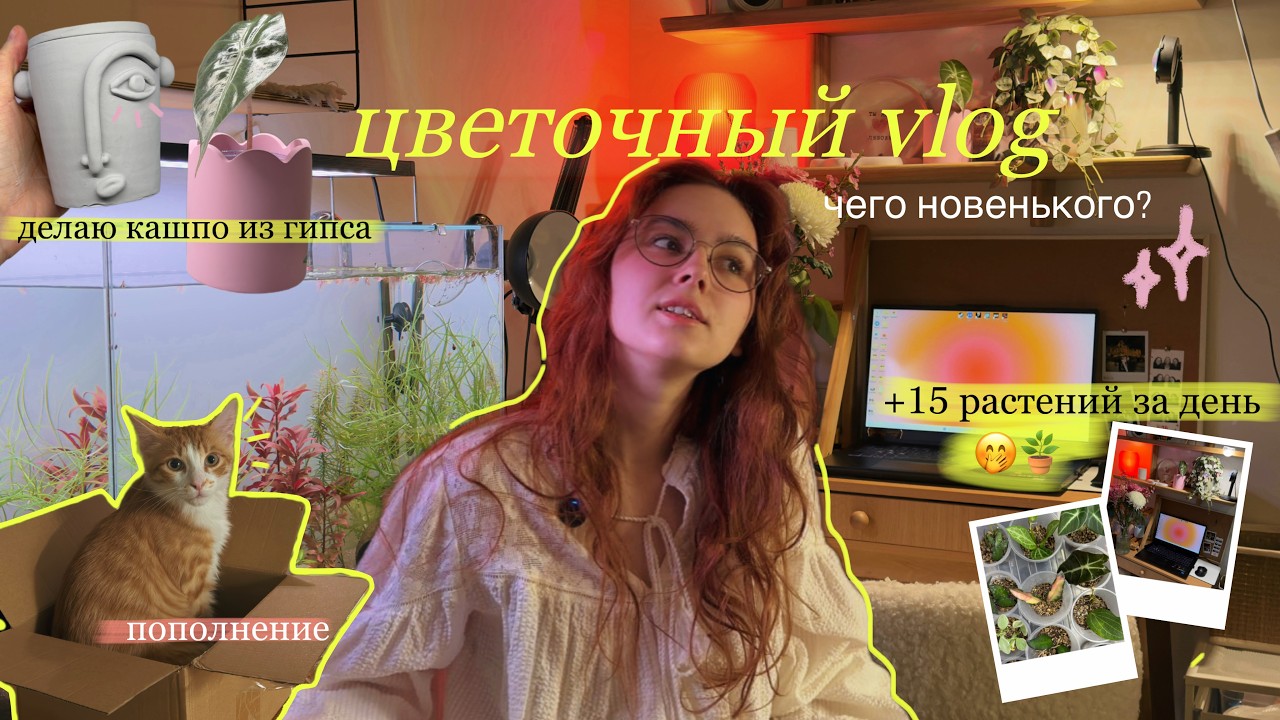 Чего новенького? 15 новых растений за один день 😳🪴Гроубокс | цветочный vlog