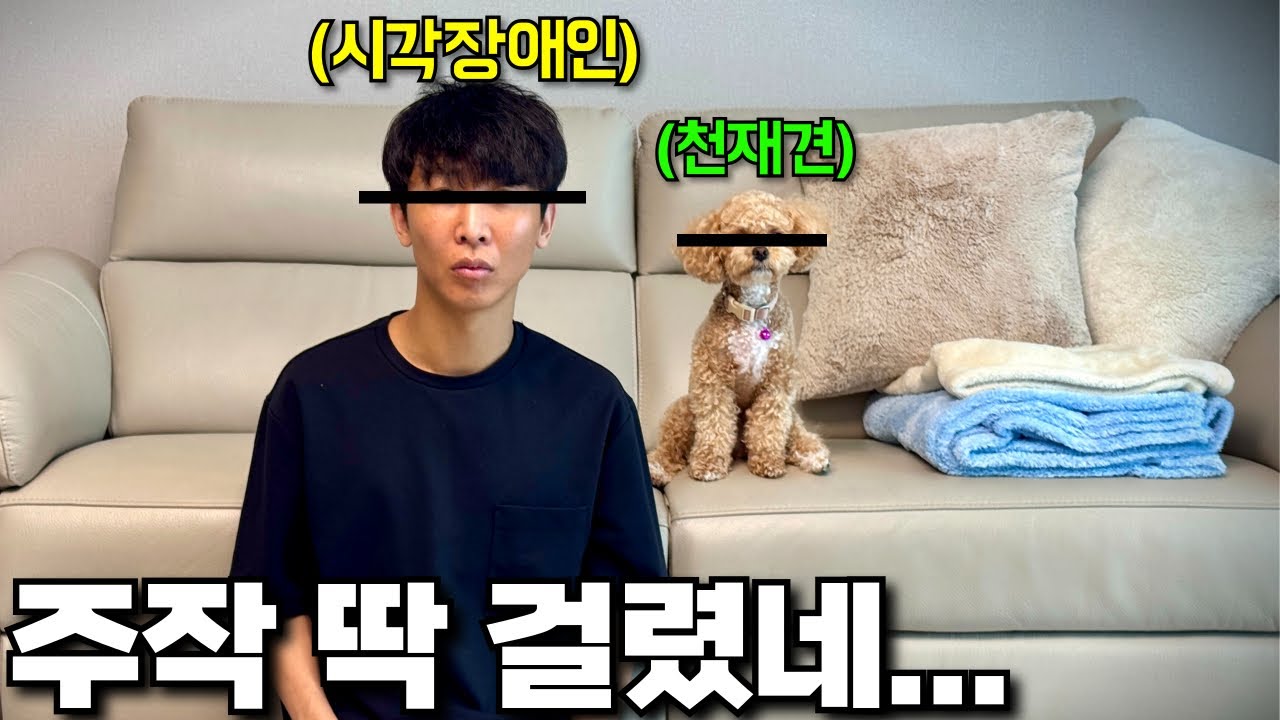 이러다 우리 논란유튜버 된다니까... 연기 똑바로 하라고 했잖아