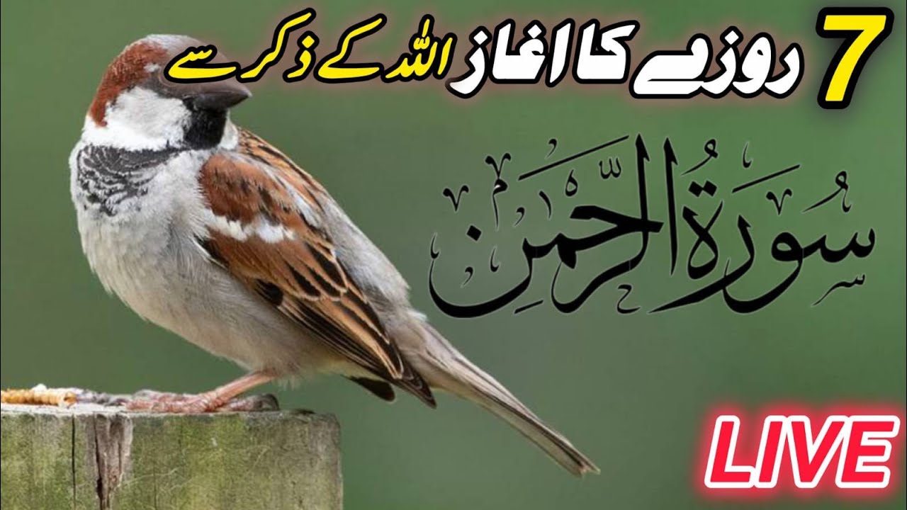 7th Sehri LIVE | Surah al Rahman | Tilawat Sun Kar Sawab Bhi, Rizq Mein Barkat Bhi