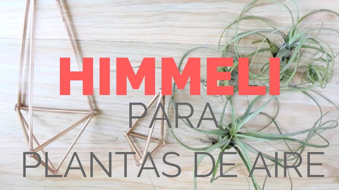 Como hacer un Himmeli para plantas de Aire