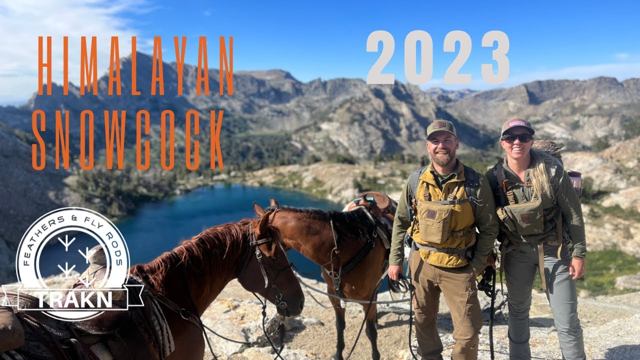 Hunting The Ruby Mountains For Himalayan Snowcocks - Northern Nevada - The Holy Grail of Upland Bird