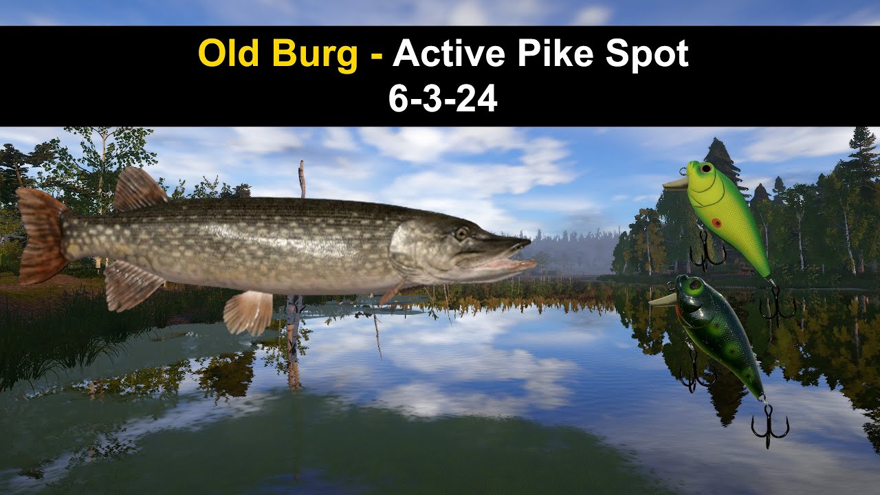 Russian Fishing 4, Old Burg - Active Pike Spot 6-3-24