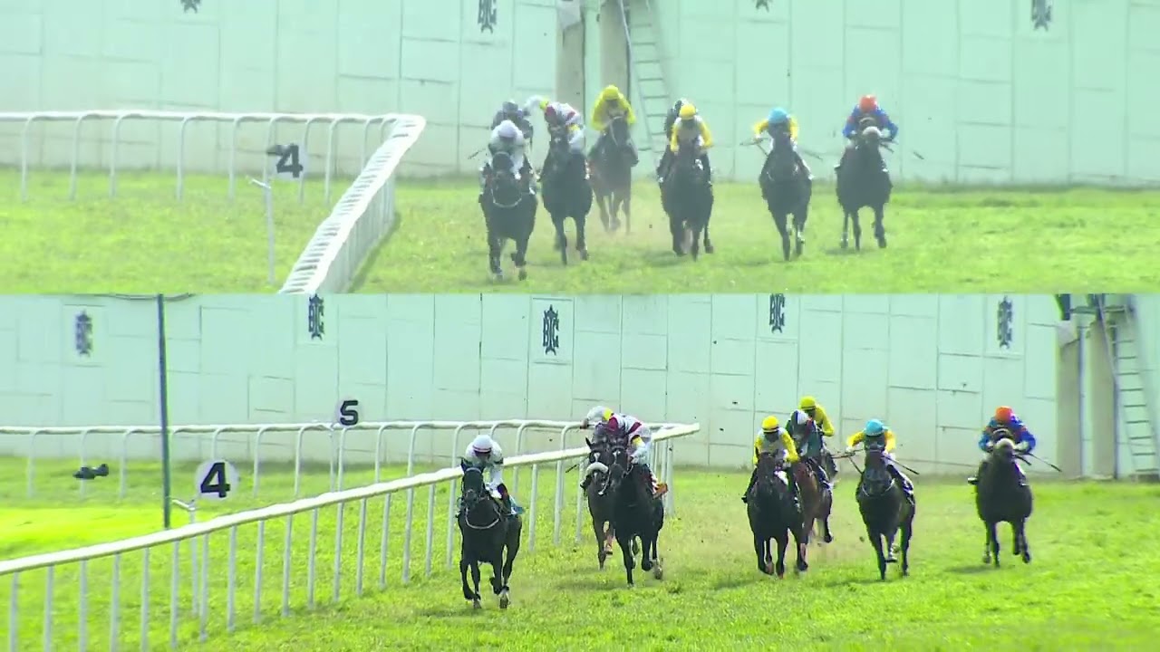 FLIGHT OF FANCY : THE BARALOY PLATE DIV I (165)
