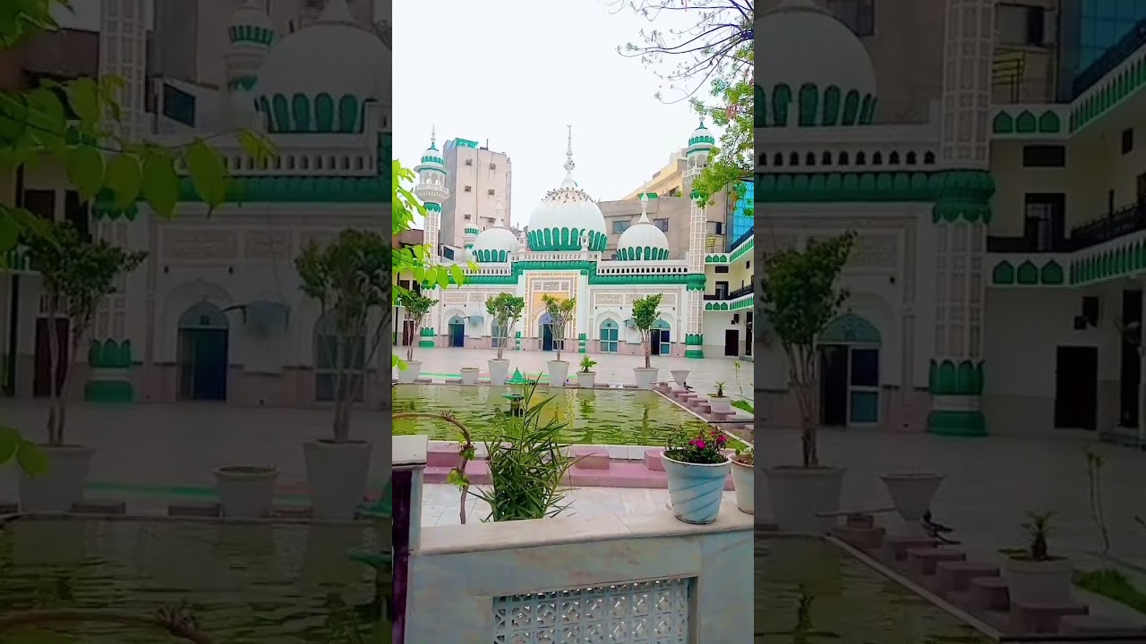 new video @Amar-7000 @mslivetv #youtube #shortvideo #instagram