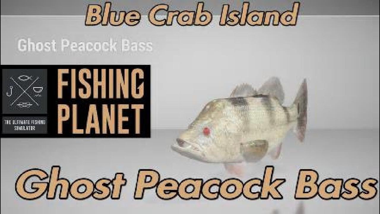 Рыба-монстр «Призрачный павлиний окунь» – остров синего краба – Fishing Planet