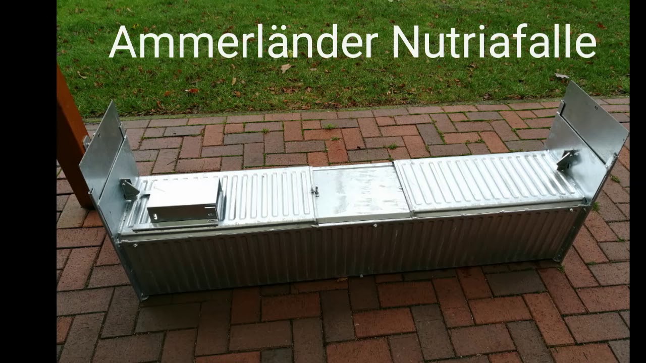 Ammerländer Nutriafalle