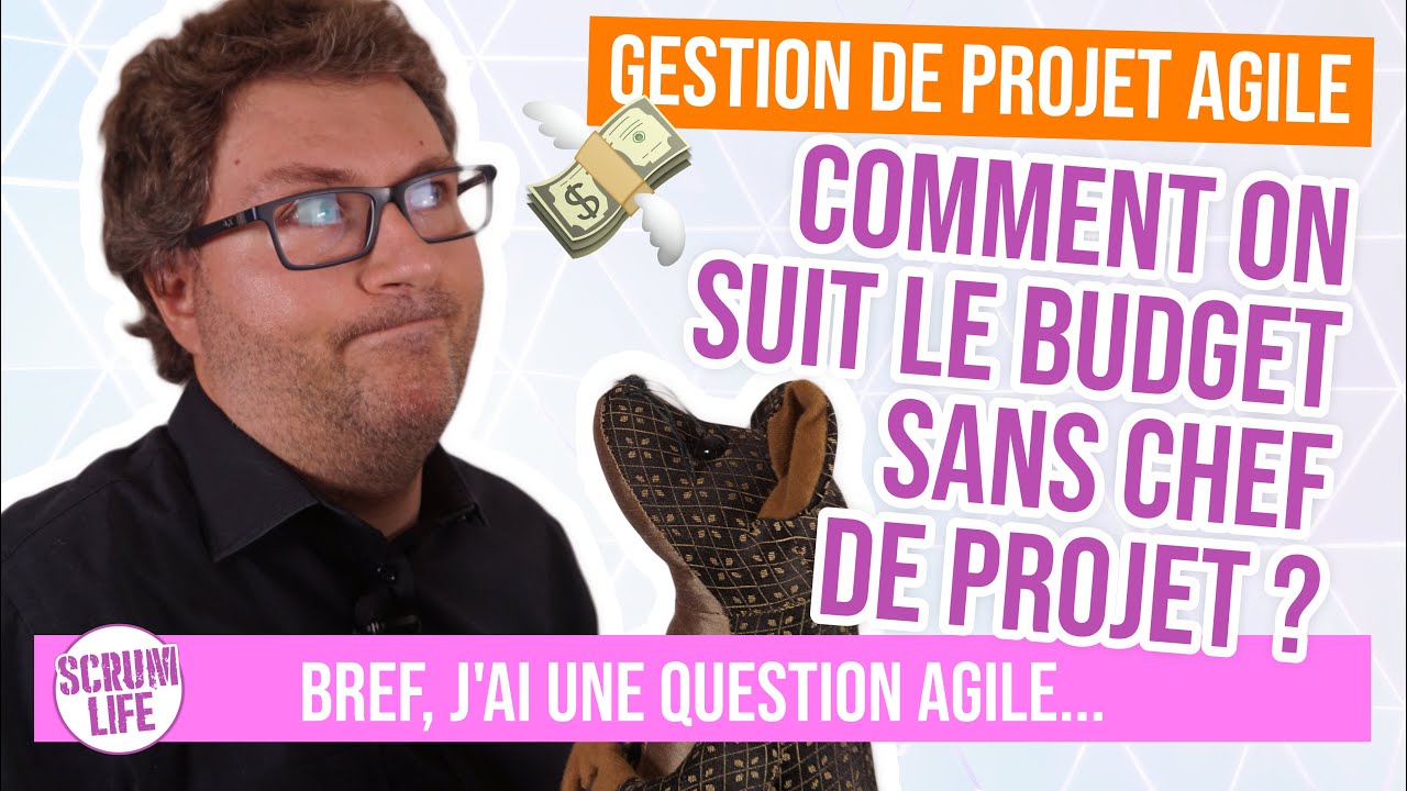 Gestion De Projet Agile - Comment s'en sortir sans chef de projet ?