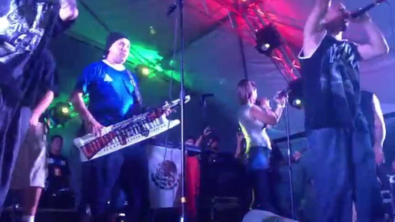 DAMAS GRATIS, LOS SOLDADOS DEL REYNO Y EL CAMPA - CUMBIA CALLEJERA