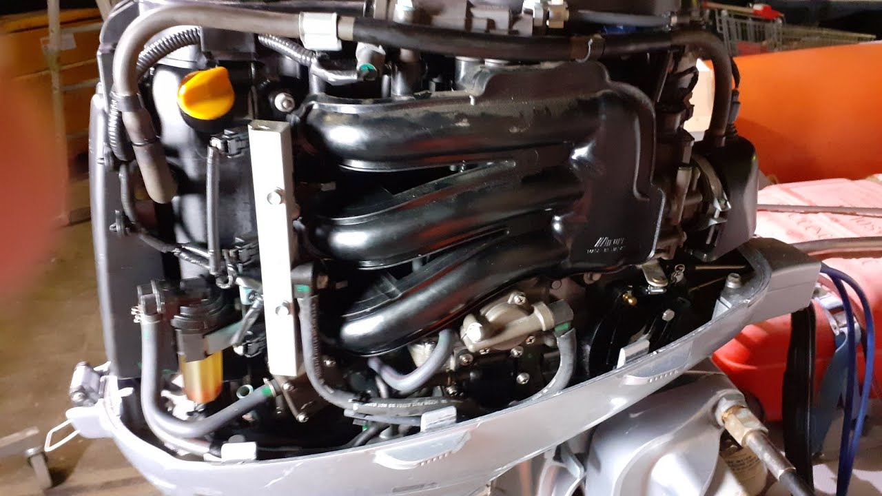 Honda BF40D pulizia testa.
