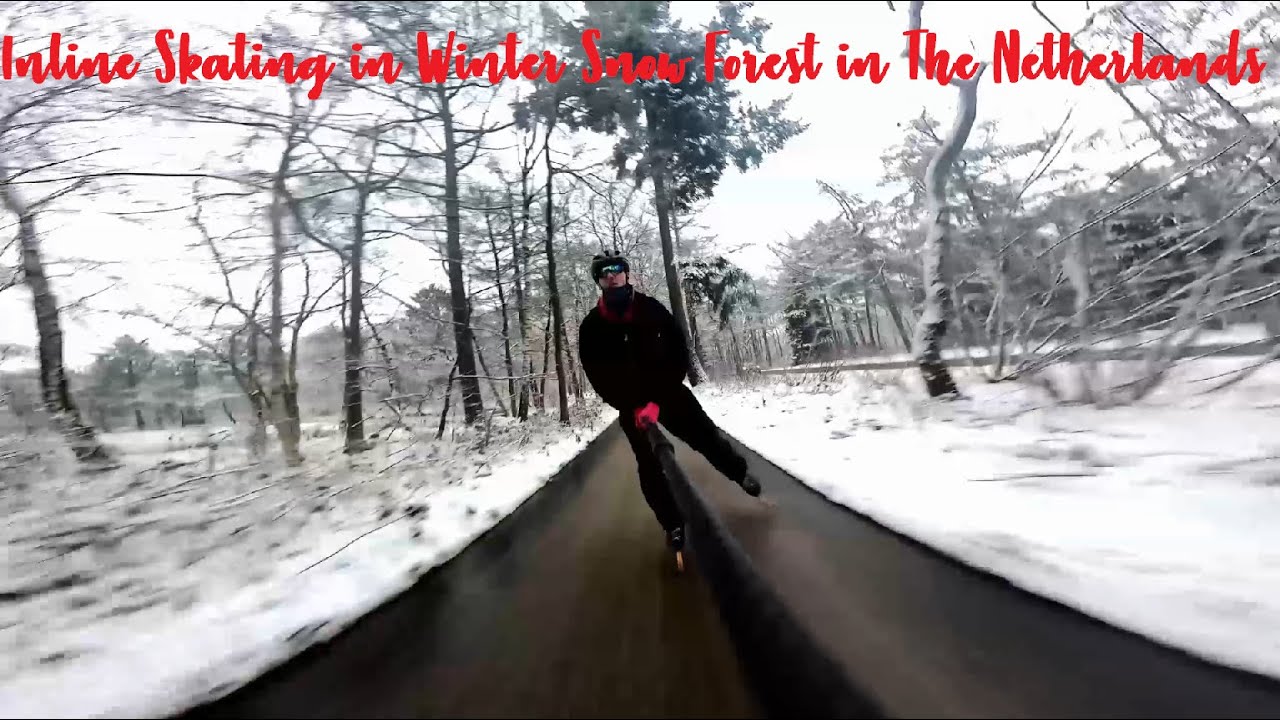Inline Skating in Winter Snow Forest in The Netherlands