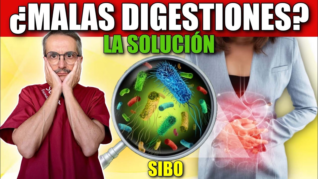 ¿Tienes malas digestiones? El SIBO puede ser la RAZÓN ¡Descúbrelo Ahora y Cambia Tu Vida!