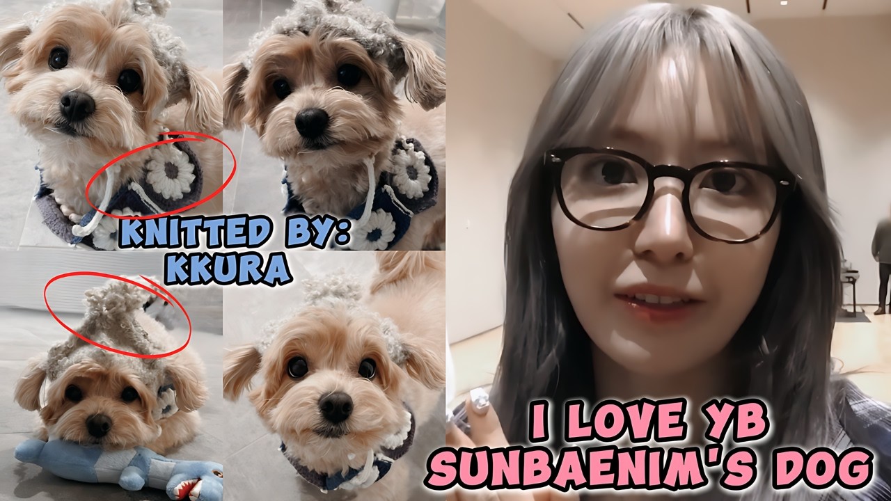 Sakura showing she's more interested in YB's dog than in YB himself 😜