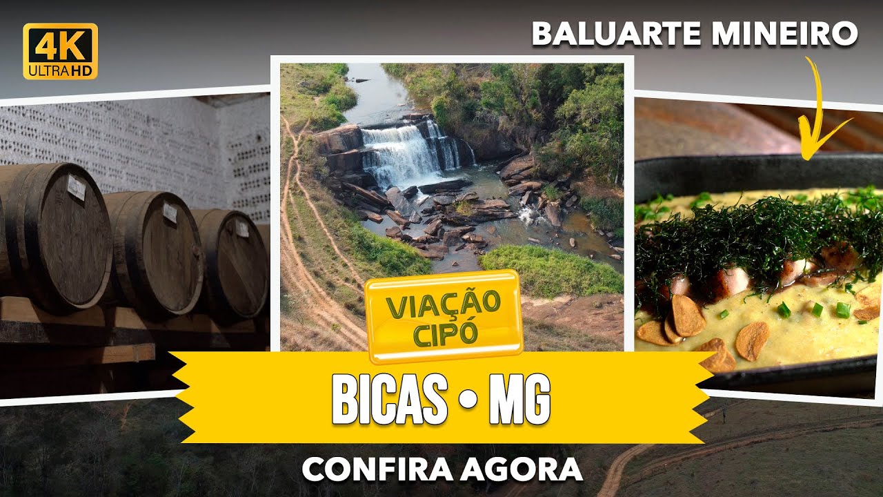 BICAS: PRECIOSIDADE na ZONA da MATA MINEIRA!!  | A Via&ccedil;&atilde;o Cip&oacute; te conta tudo!