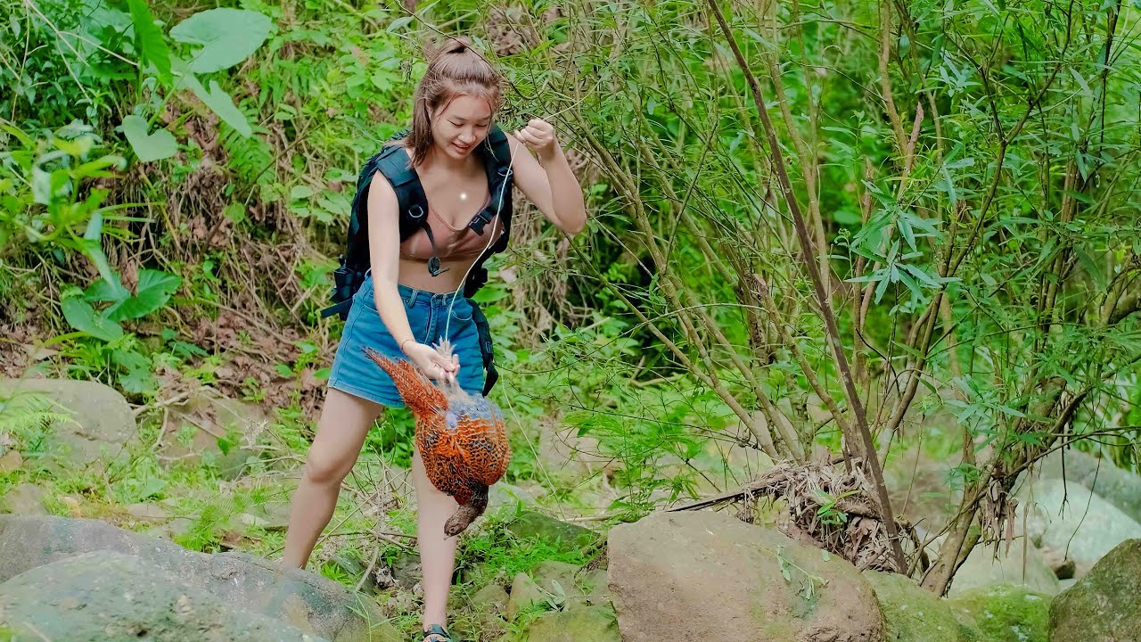 Go to The Old Foest Trap Phoenix Birds To Raise - A Lucky Day | Thảo Bushcraft