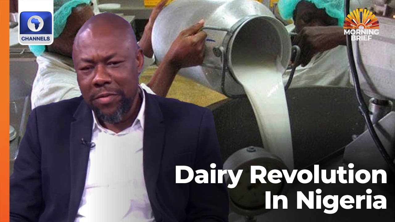 Dairy: 'We Have Been Consuming Creamers In Nigeria, Not Milk’, Expert Calls Out Manufacturers