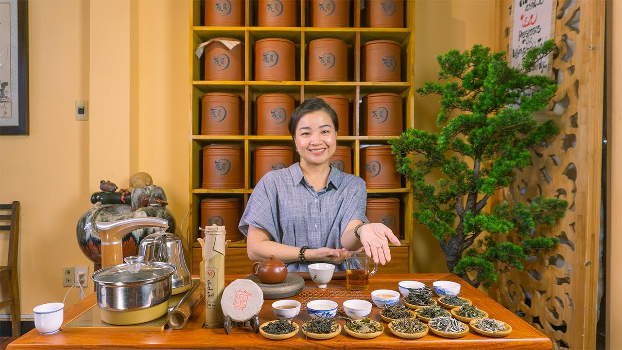 Khái Quát Về Trà Shan Tuyết - Đây là An Viên Trà