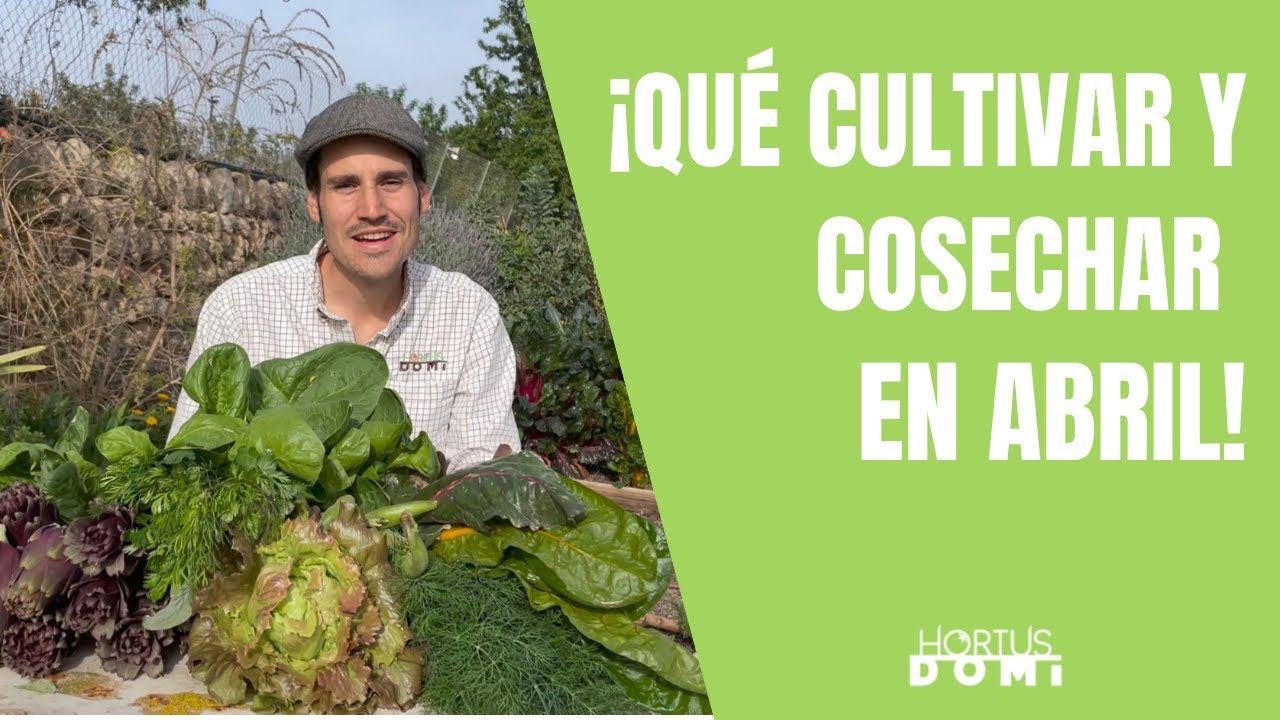 ¡Qué puedes sembrar, trasplantar y cosechar en Abril!