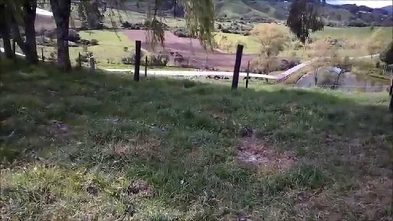 VIDEO DOS FORMAS DIFERENTES DE RENOVAR POTREROS PARA LECHE