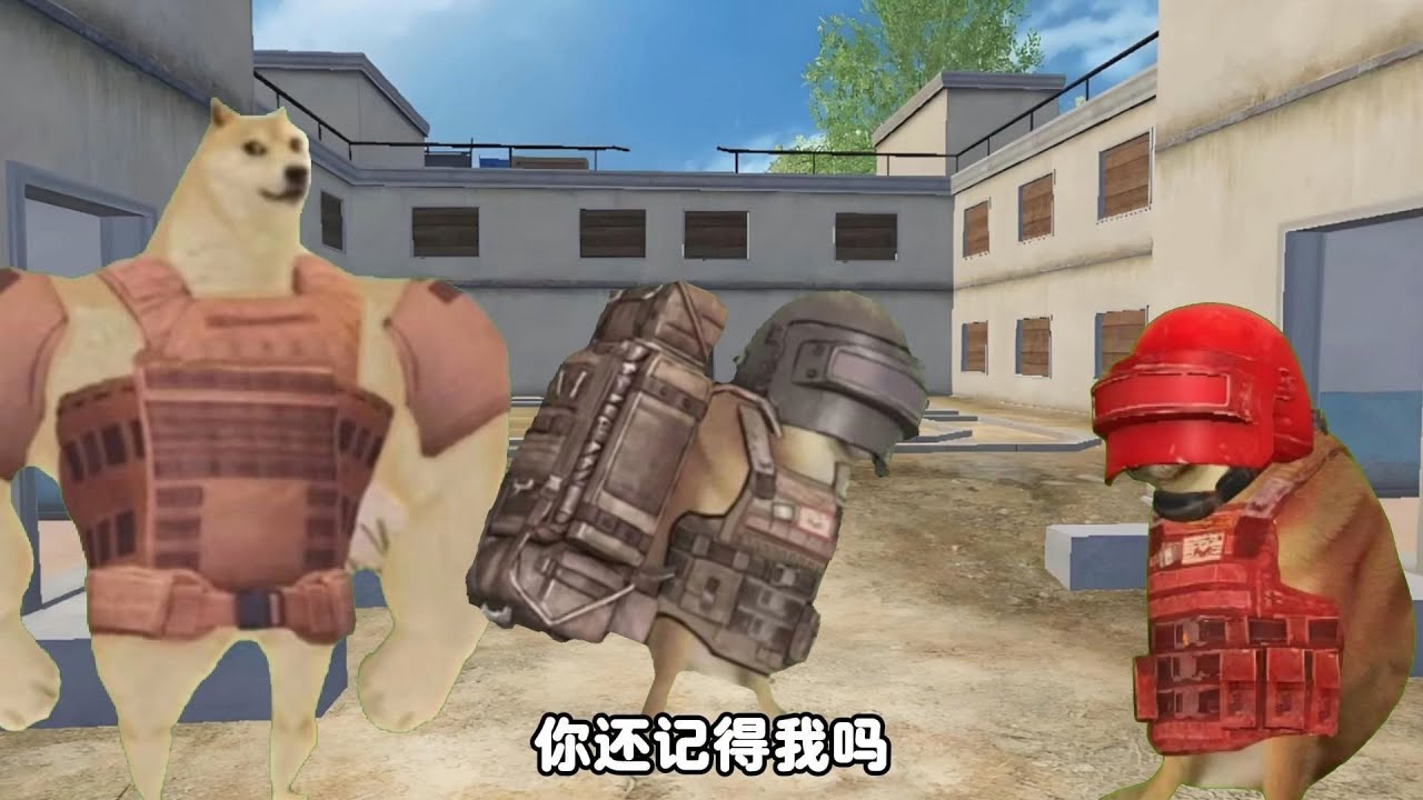 假如你登上你真正的大号时