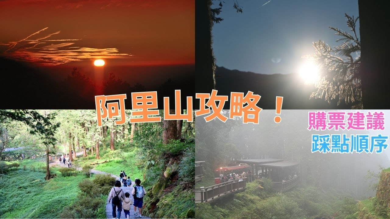 拋開都市煩惱！搭上阿里山森林鐵路🚂 尋找神木與霧中車站的浪漫仙境