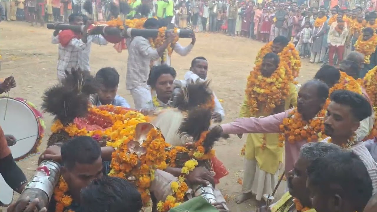 निराछिंदली का वार्षिक फुल मांघ मेला मड़ई. 2026