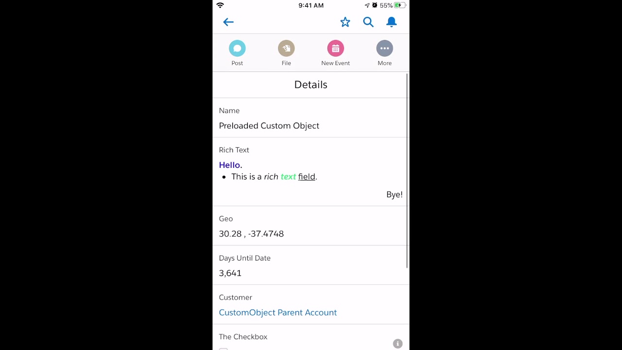 Custom Object Demo