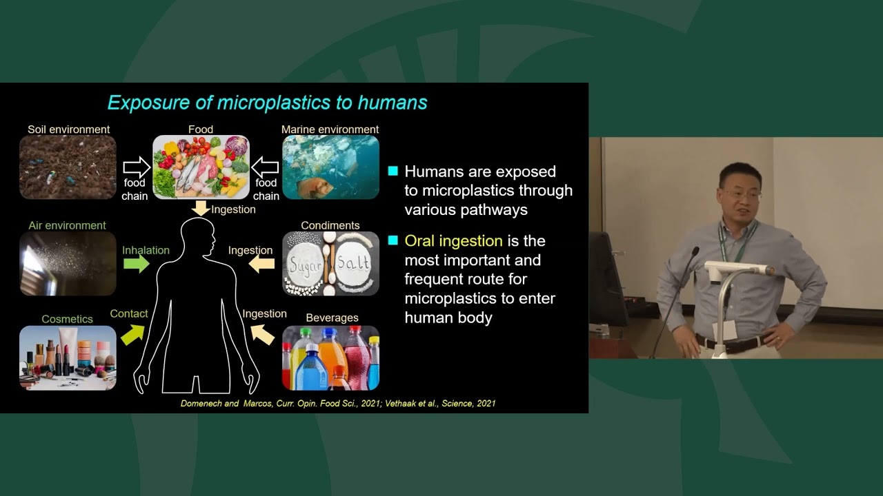 Microplastics Reduce Lipid Digestion in Simulated Human Gastrointestinal System– Baoshan Xing, Ph.D.
