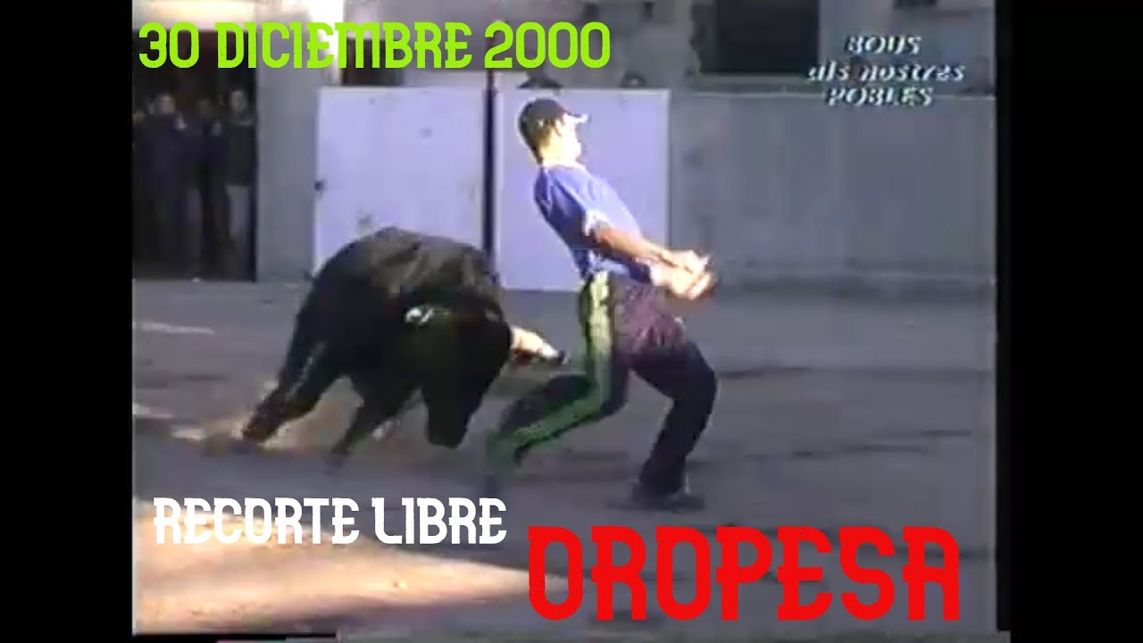 2000 12 30 OROPESA RECORTE LIBRE