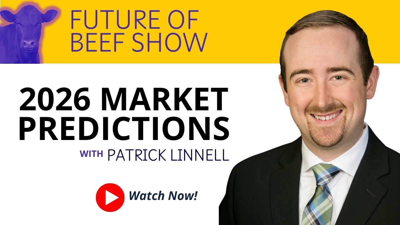 E17: 2026 Market Predictions with Patrick Linnell