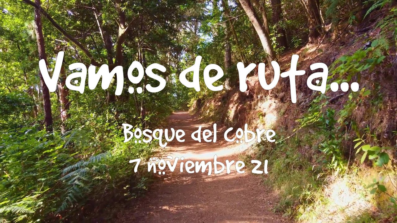 Vamos de ruta... Bosque del Cobre