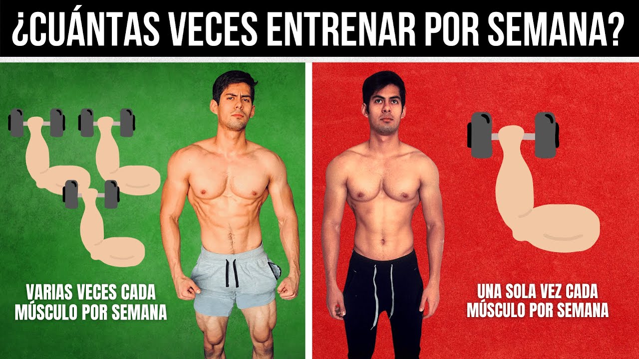 ¿CUÁNTAS VECES DEBES ENTRENAR A LA SEMANA? / CIENTÍFICAMENTE COMPROBADO