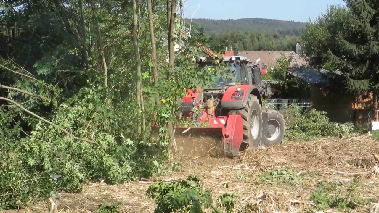 Der Forstexperte – Rodung eines Grundstücks im Wienerwald mit Ferguson 8690 und AHWI Forstmulcher