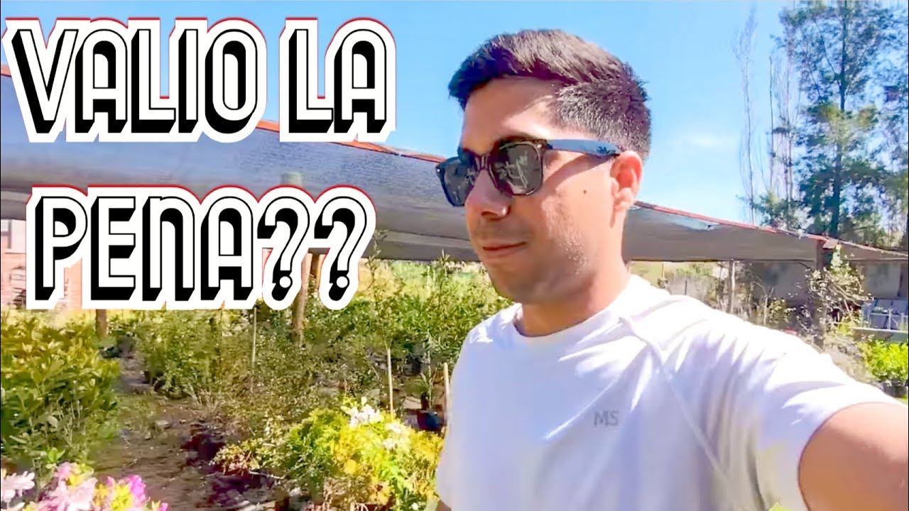 💪🌱 Trabajo GRATIS 12 HORAS para cumplir mi sueño | Nemy Bravo