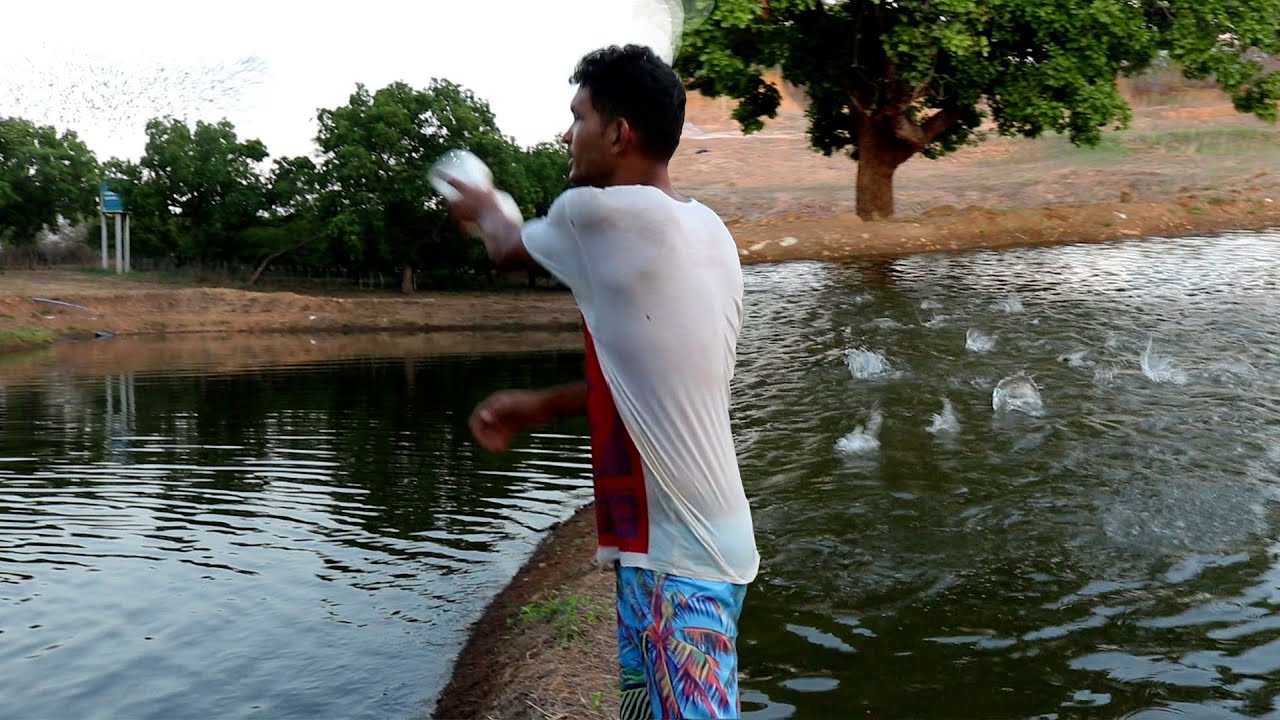 7.000 PEIXES PARA CRESCER E ENGORDAR | RAÇÃO PARA PEIXE DE ENGORDA E CRESCIMENTO