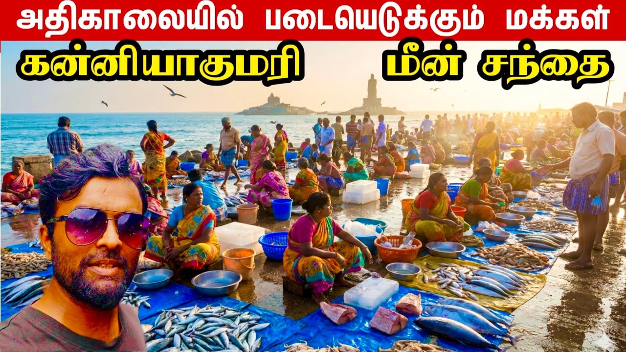பரபரப்பான மீன்சந்தை | kanniyakumari | fish market 