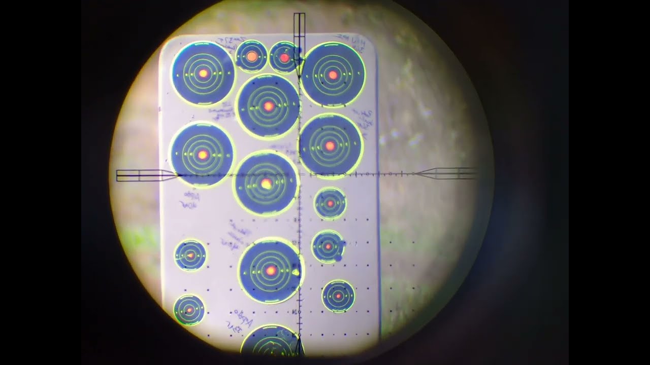 FX Impact M3 .22 shooting 30gr H&N HP II Slugs at 50 yards. INCREDIBLE ACCURACY!