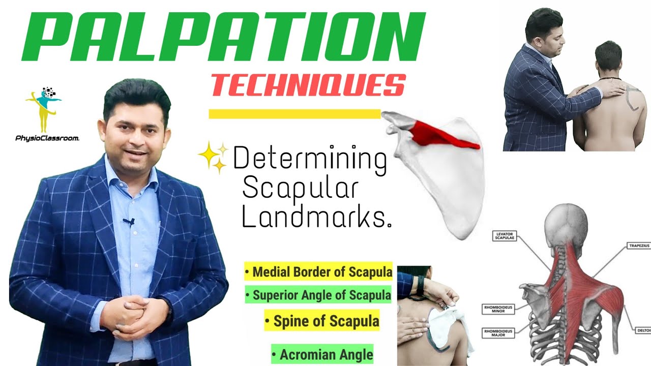 SCAPULA PALPATION MADE EASY ➡️ MEDIAL BORDER | SUPERIOR ANGLE | SPINE OF SCAPULA | ACROMIAN ANGLE.